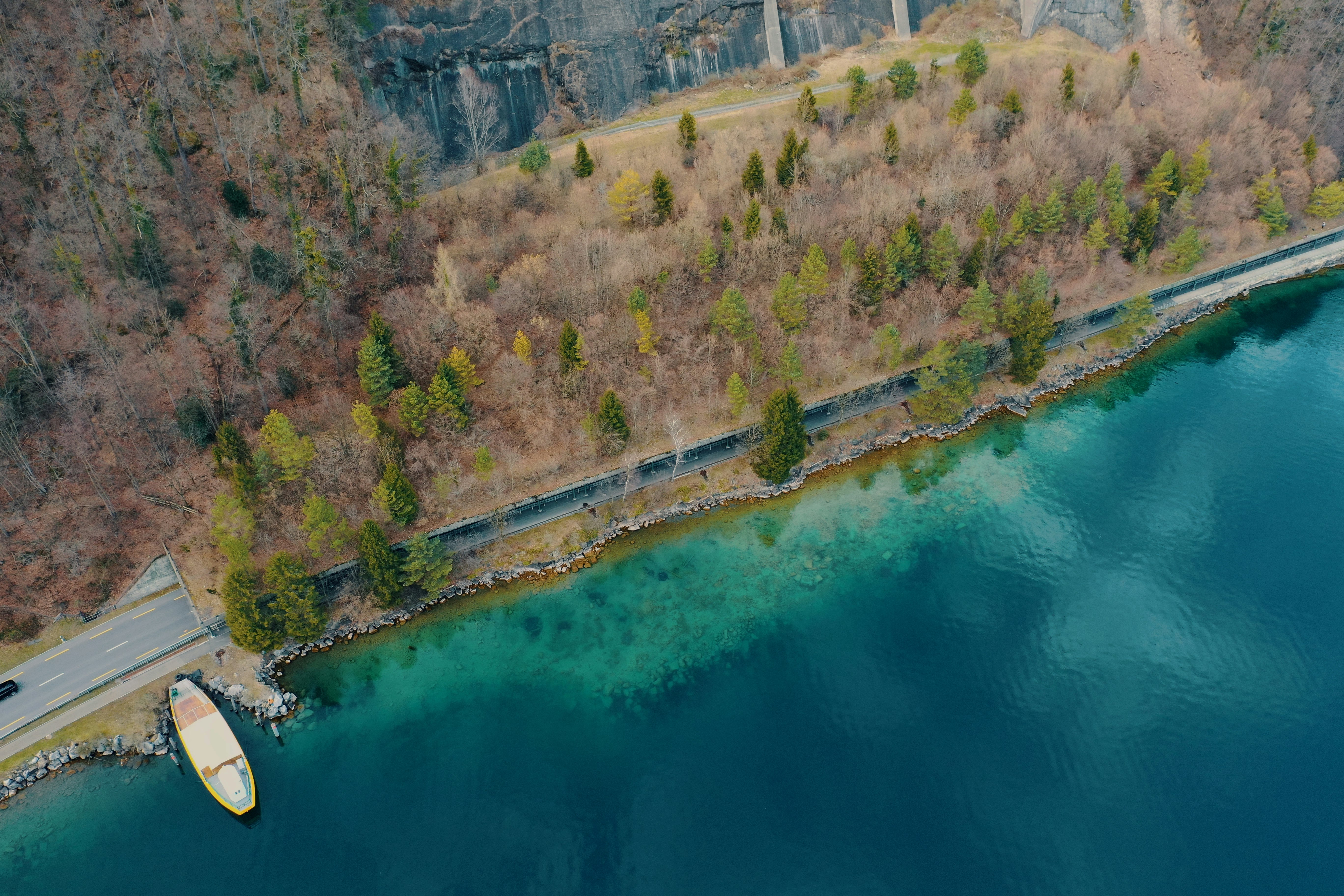 green trees near body of water during daytime